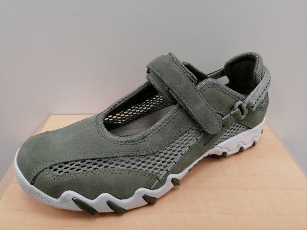 Allrounder 99,90 €