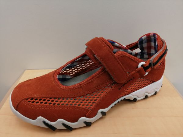 Allrounder 99,90 €