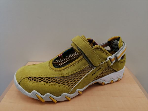Allrounder 99,90 €