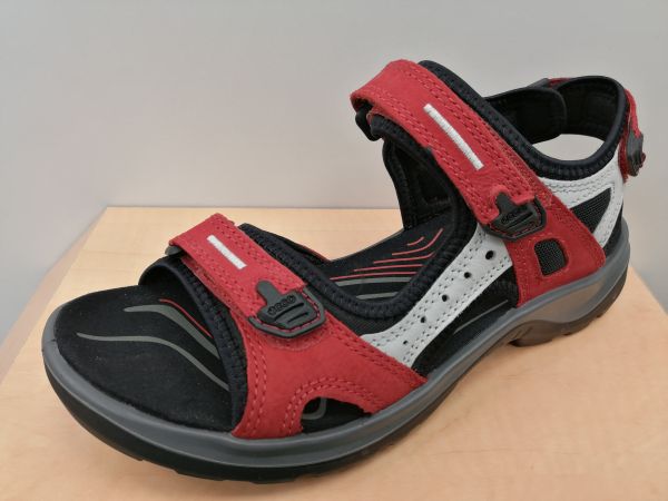 Ecco 99,95 €