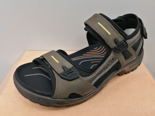 Ecco 99,95 €