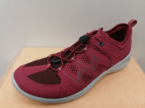 Ecco 99,95 €